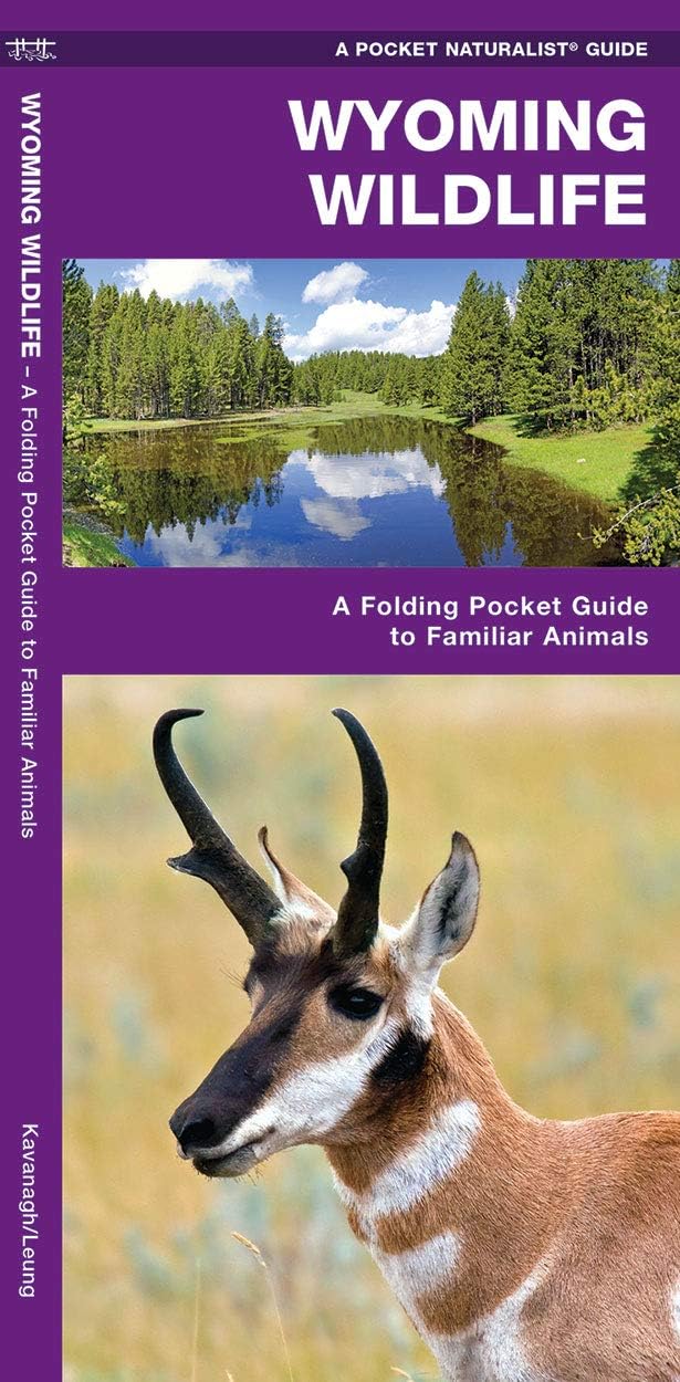 Wyoming Wildlife: A Folding Pocket Guide to Familiar Animals (Wildlife and Nature Identification)