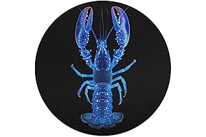 Blue Lobster Wooden Jigsaw Puzzles