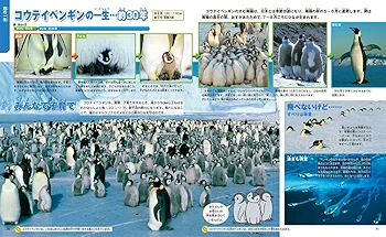 学研の図鑑 全25巻セット＋一生の図鑑&大昔の生物 Amazon.co.jp: 一生の図鑑 (ニューワイド学研の図鑑i(アイ