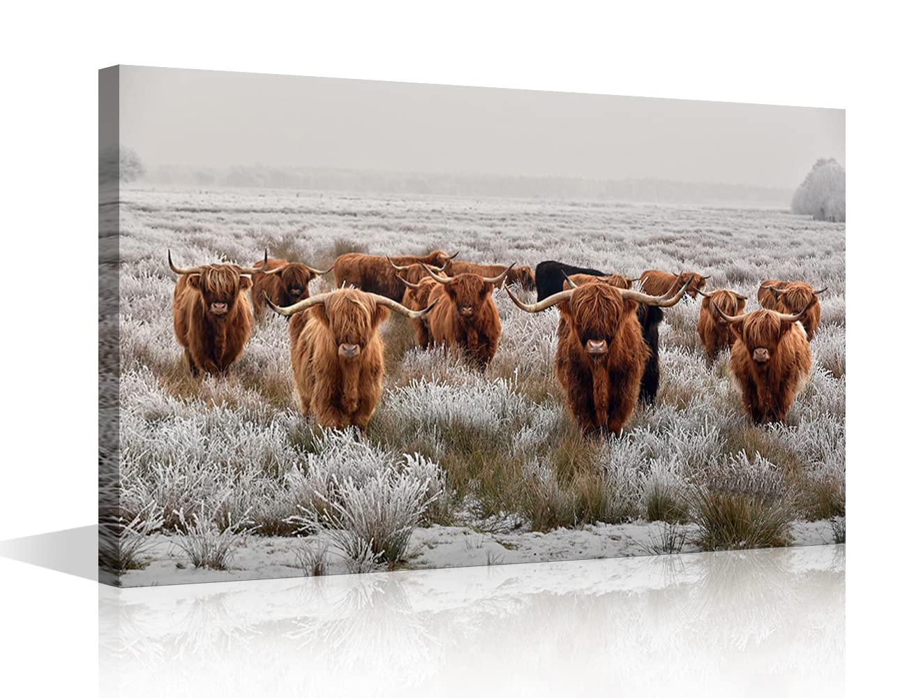Brown Herd Highland Yak Canvas Printing Rustic Bedroom Decor Retro Cow Wall Art Home Artwork Print Used in Bathroom Office Fireplace Kitchen Dining Room Decorate