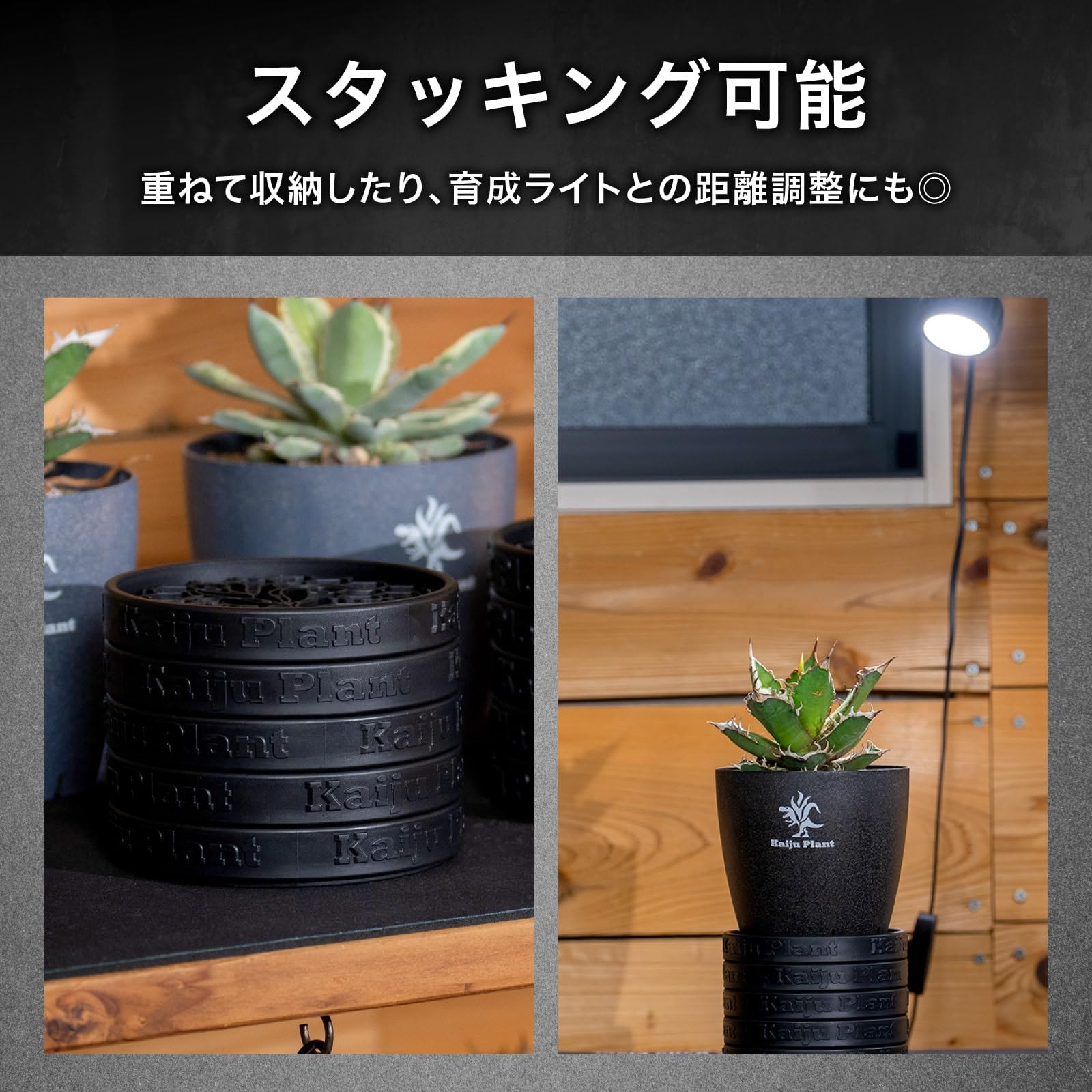 Amazon.co.jp: Kaiju Plant 怪獣ソーサーEco No.4 鉢皿 4号サイズ