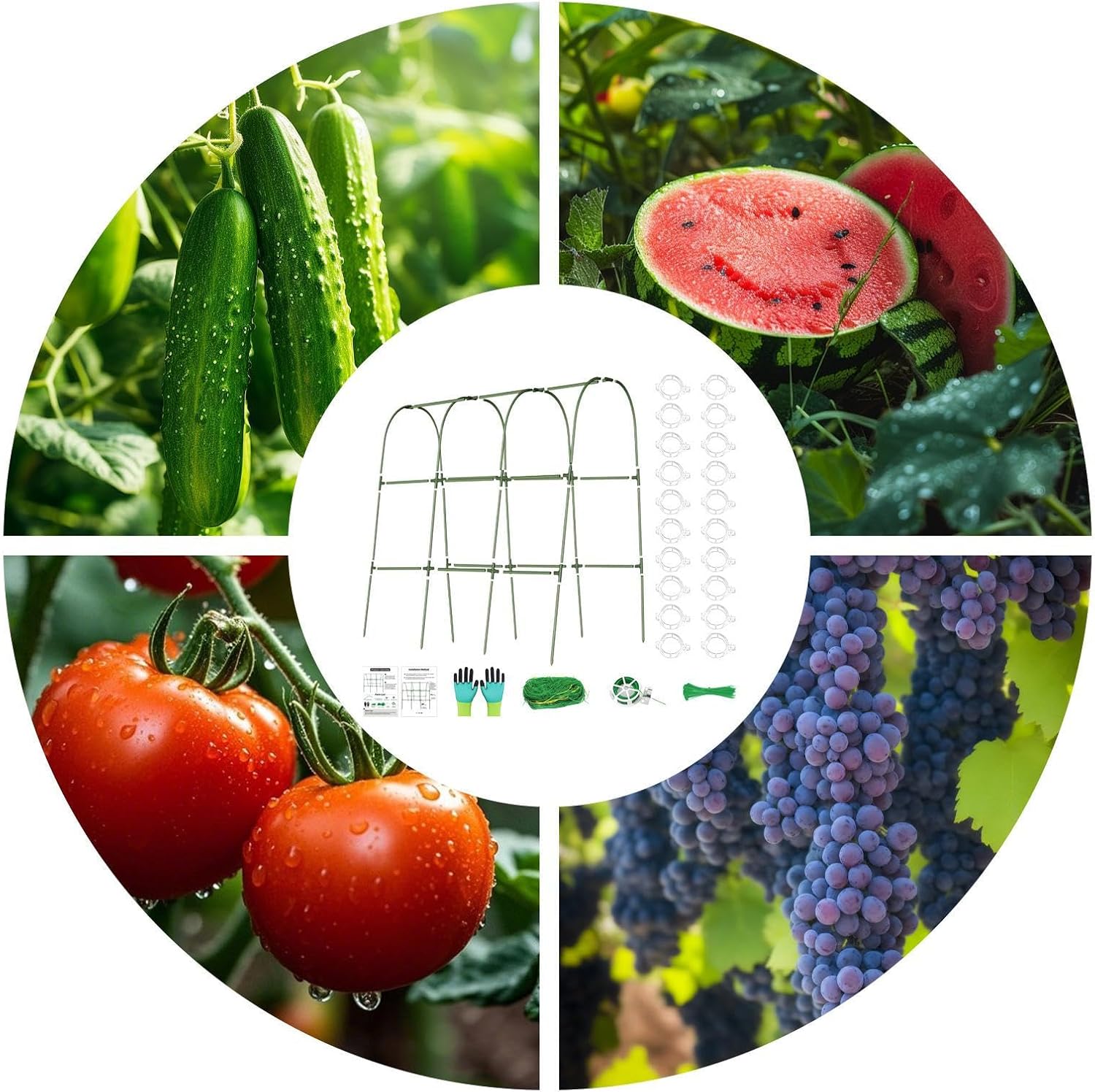 Cucumber Trellis | Garden Metal Cucumber Trellis | Heavy-Duty Metal Arch Plants Supports for Greenhouse Pumpkins Eggplants Peas Cultivation