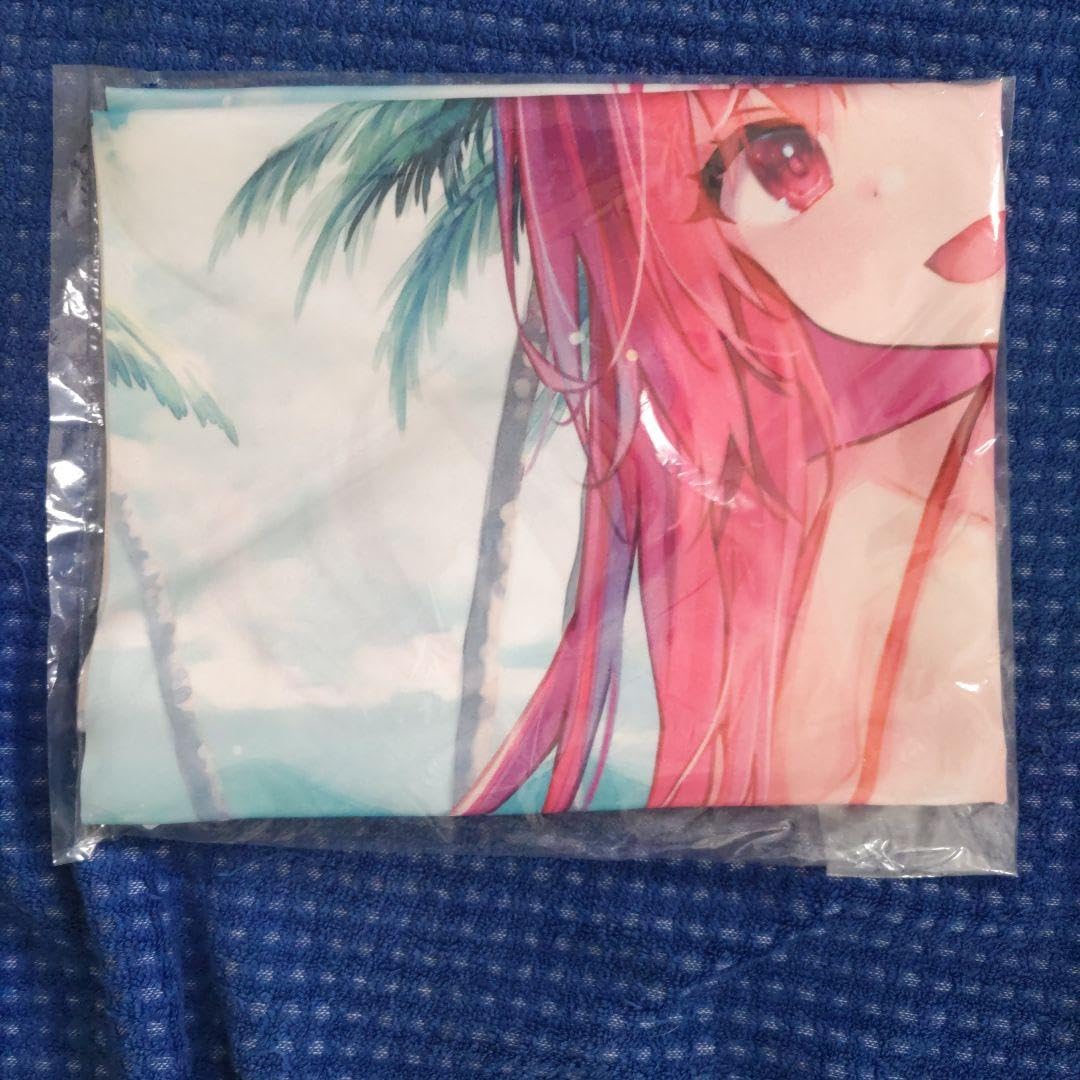 Amazon.co.jp: 西園寺更紗タペストリー ライアーライアー9