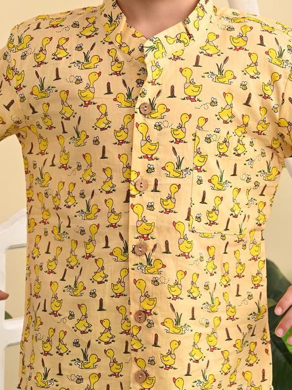 Image of superminis Baby Boys Cotton Printed Shirt and Nikkar /Shorts Coordinated Set