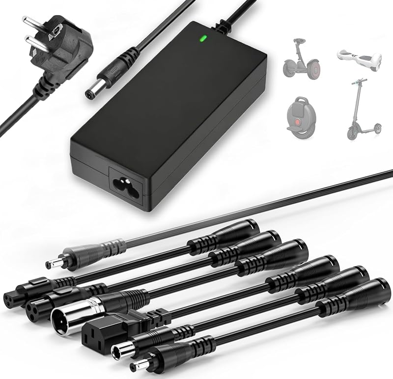 Frogetu Caricabatterie per Scooter Elettrico 42V 2A, Caricatore Universale 36V Batteria…