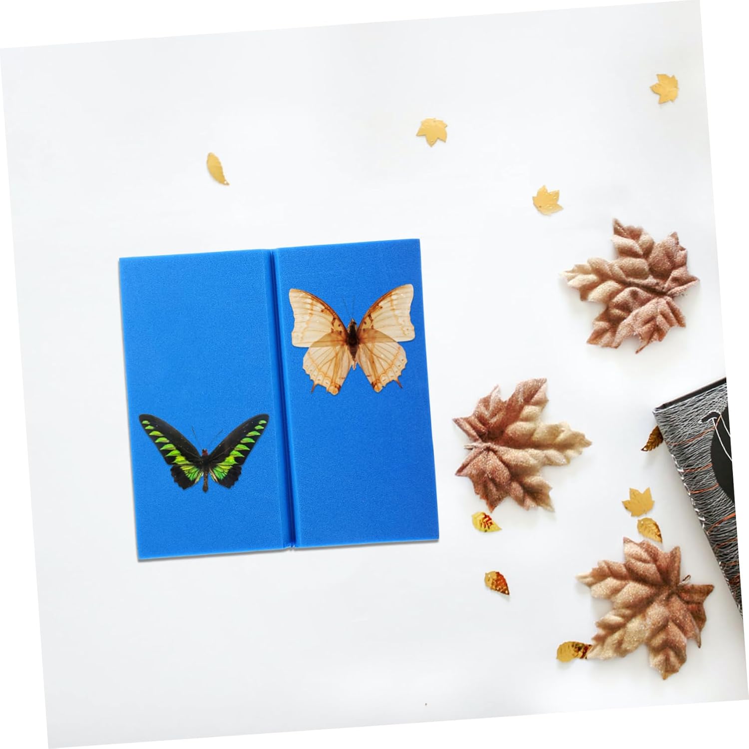 5pcs Butterfly Specimen Spreading Board Insect Pinning Tool for Display Lightweight Design Butterfly Mounting Panel for Science Projects