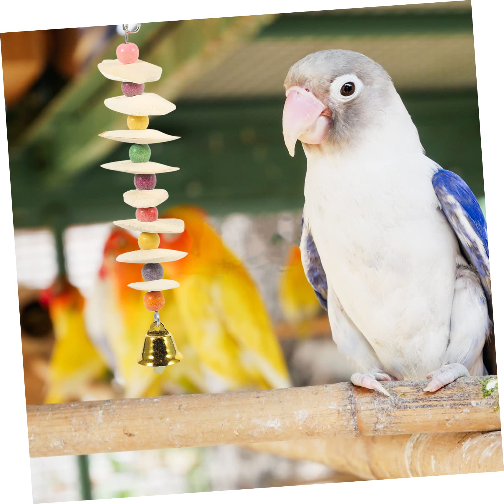 POPETPOP 4pièces Jouet à Mâcher pour Perroquets De Seiche Accessoire Ludique pour Oiseaux pour Divertir Et Relaxer Vos Oiseaux De Compagnie