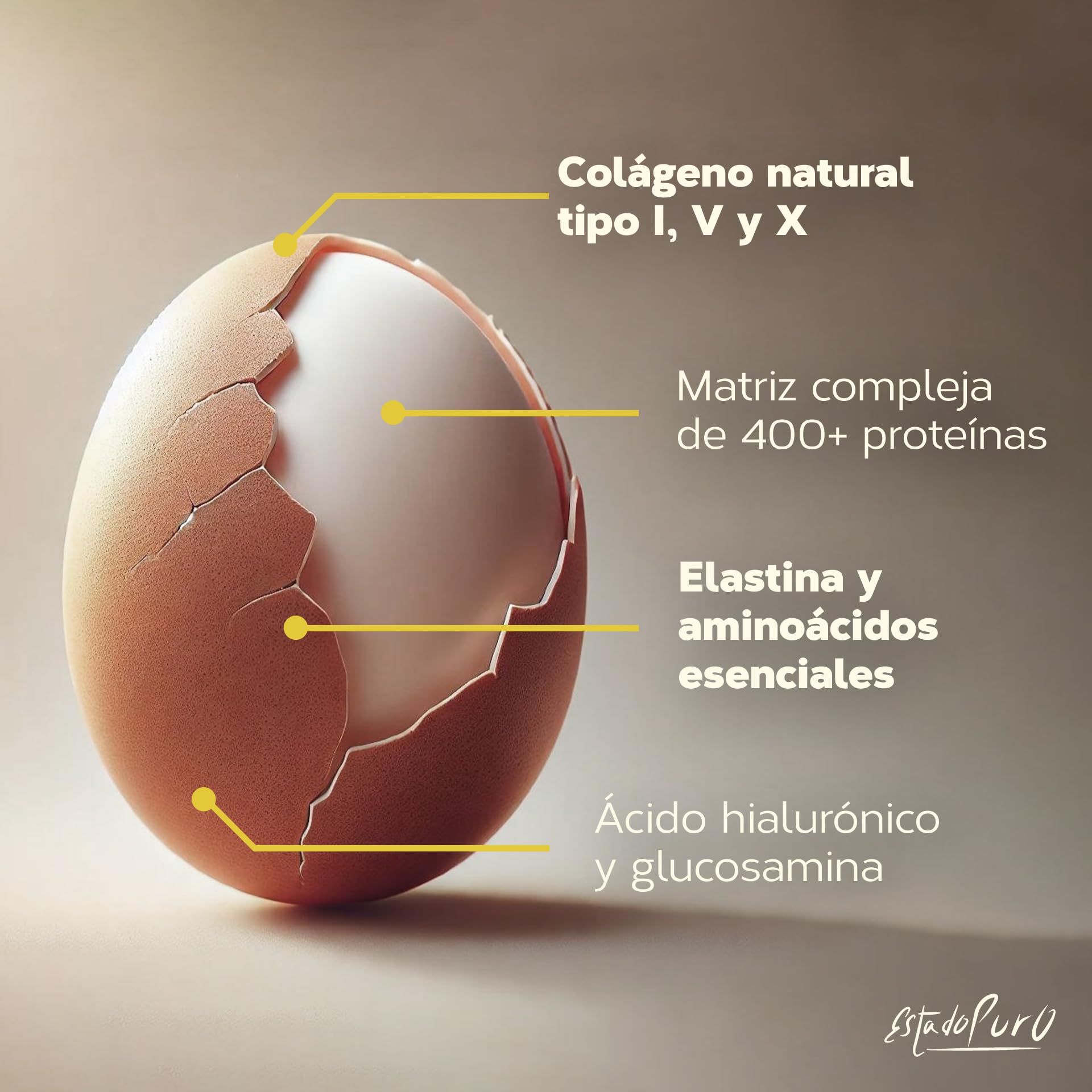 Membrana de Huevo Estado Puro - Colágeno Vegetariano Ovomet (Tipo 1, 3, 5 y 10) - Fuente Natural de Colágeno, Ácido Hialurónico, Elastina, Glucosamina, Condroitina - 30 Cápsulas Vegetales de Tongil