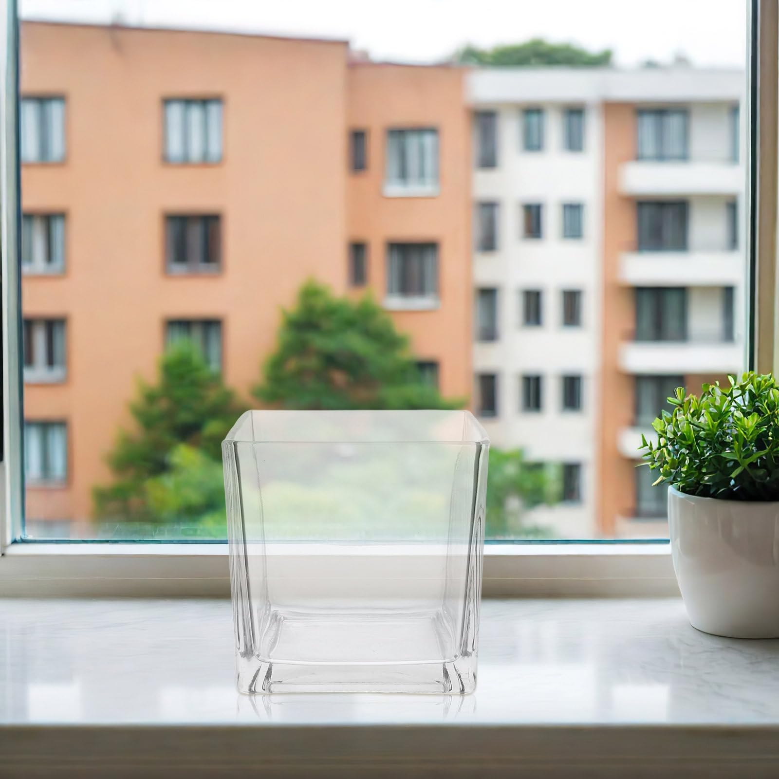 TEHAUX Jarrón Cristal Cuadrado de Vidrio Transparente para Decoración de Hogar Diseño Moderno y Resistente, Adecuado para Plantas Hidropónicas y Flores en Sala