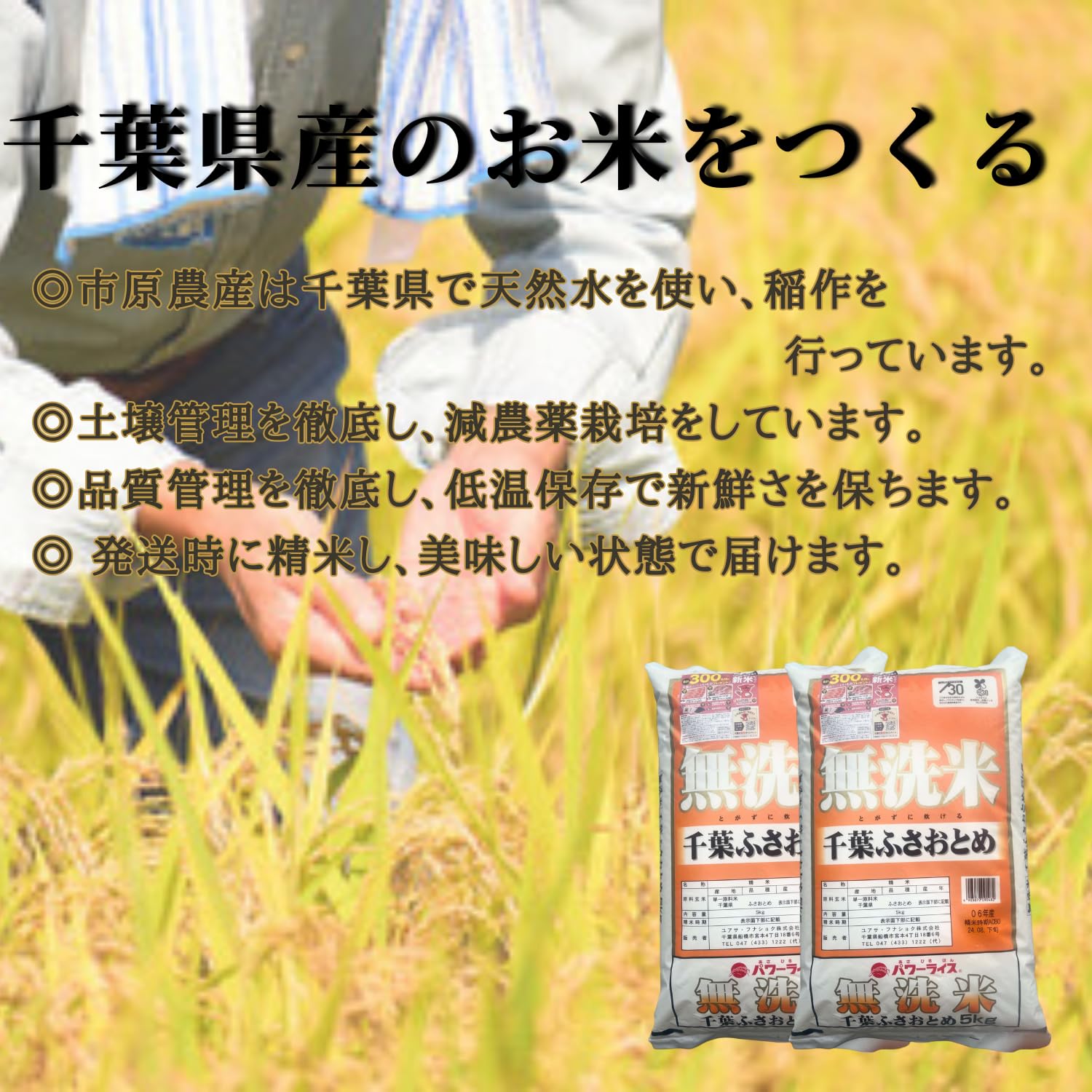 Amazon.co.jp: 【新米】千葉県産 ふさおとめ 5kg 10kg 15kg 20kg 25kg