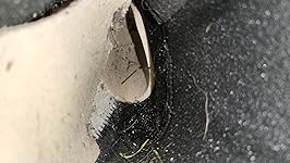 Review Image by Jesse S. Jesse S.