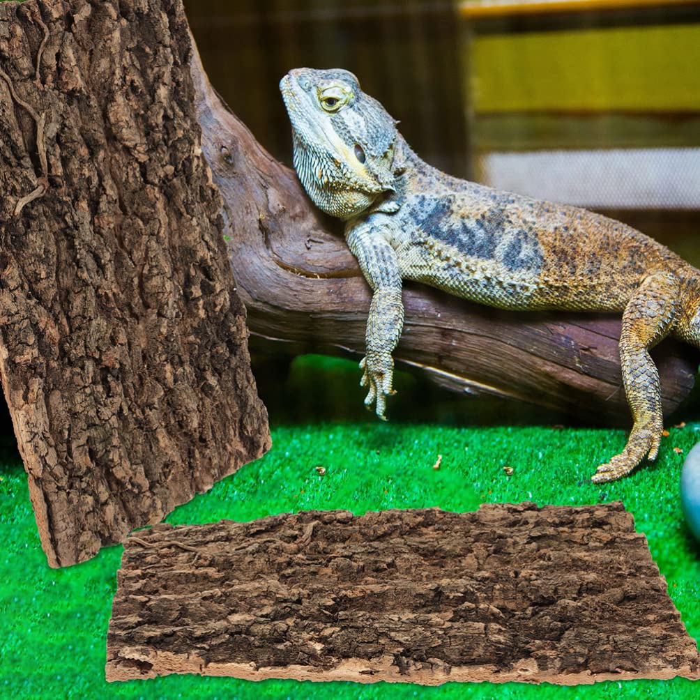 Totority Plantes décoratives en liège pour terrarium, 3 pièces de fond en liège décoratif en écorce d'arbre pour reptiles grimpants pour gecko, lézard, tortue, grenouille, dragon barbu