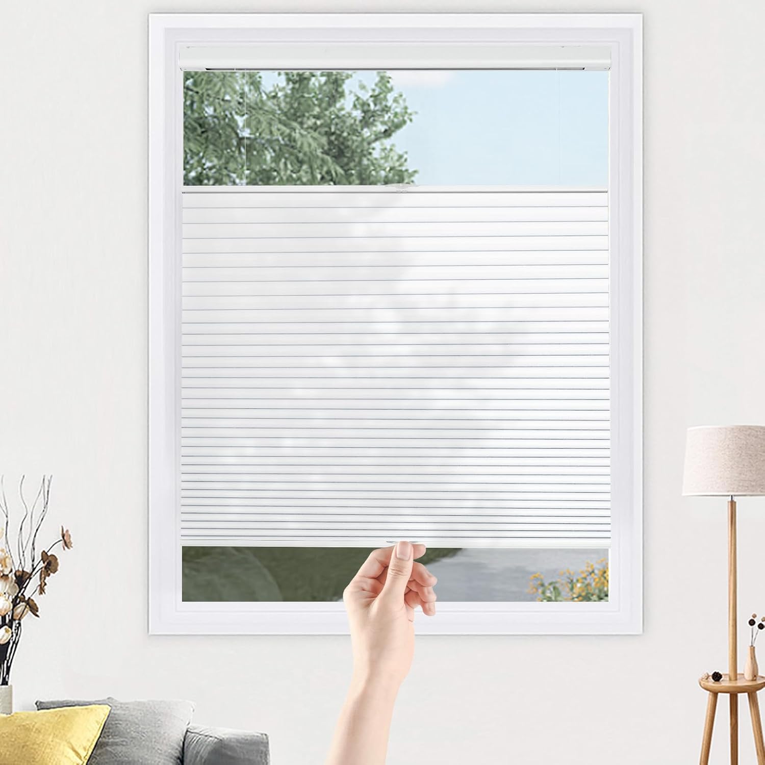 Blinds Cordless Top Down Bottom Up Light Filtering Cellular Shade for Window 31 1/2''W x 72''H