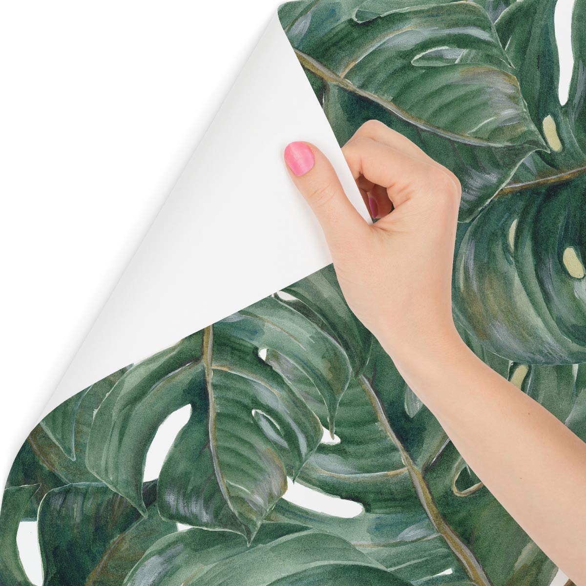 Fototapeta z włókniny monstera, liście, naturalne rośliny, flora, 315 x 210 cm, nowoczesna tapeta XXL, dżungla, egzotyka, do salonu, sypialni, biura, korytarza, tapeta ścienna szer. 315 x wys. 210