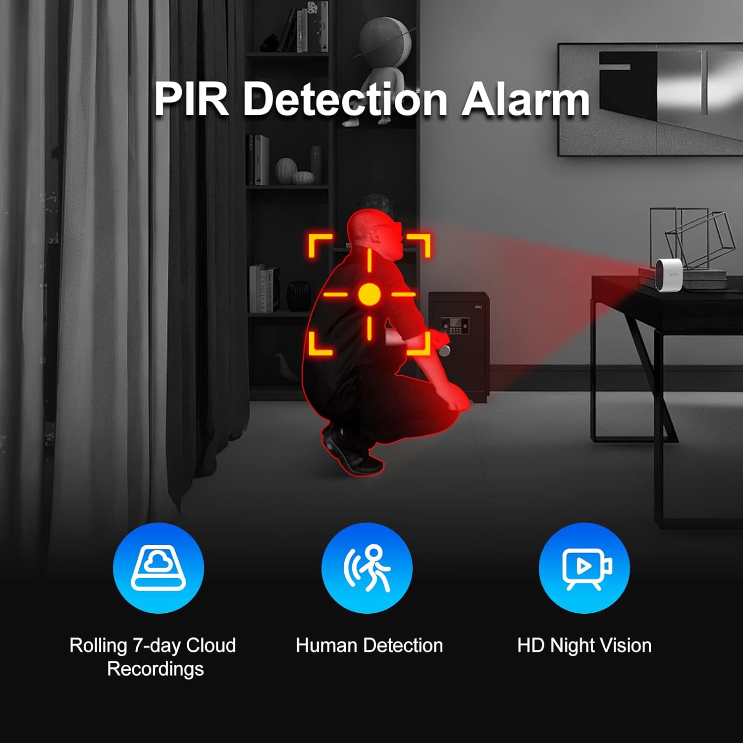 PIR Detection Alarm