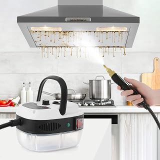 Dyna-Living Steam Cleaner 2500W Electric High Pressure Handheld Steamer for Cleaning Portable Car Steam Cleaner High-Temperature Steamer Cleaner for Car Detailing Home Kitchen Hood Use