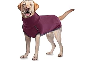 ROZKIT Warm Turtleneck Dog Sweater: Keep Your Pup Cozy and Dapper