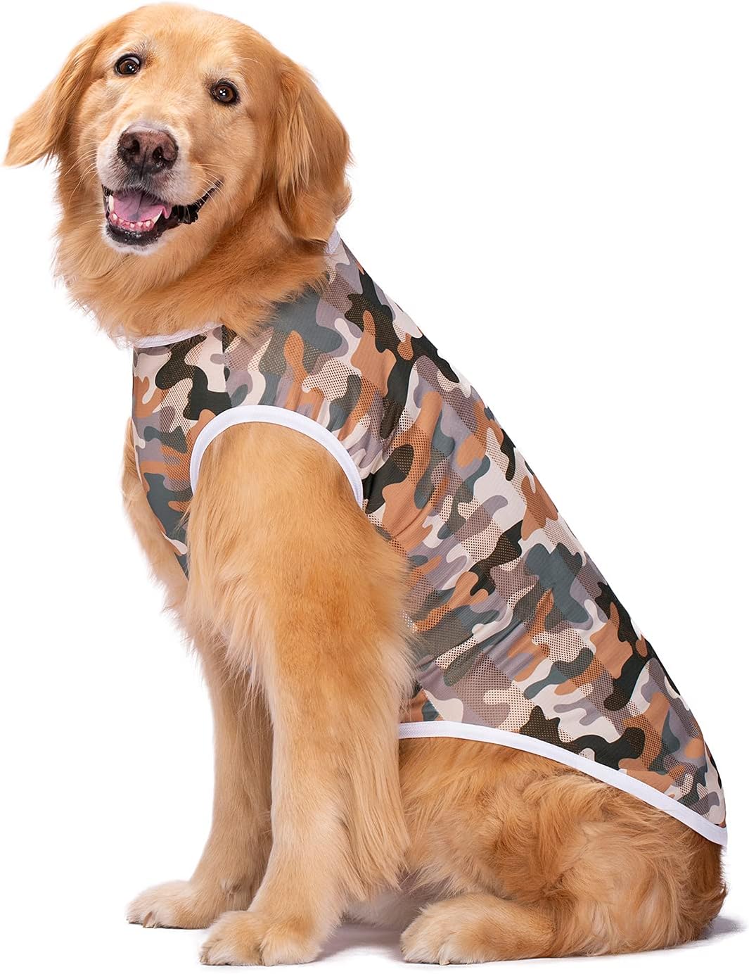 Pet Clothes - Image 3