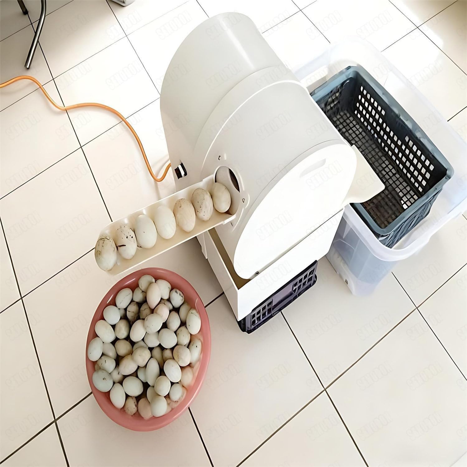 Lavadora de huevos automática, 2300 unidades/hora, con cepillo de rodillo y cepillo de rodillo, de acero inoxidable 304, para huevos de gallina, pato y ganso.
