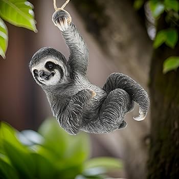 ナマケモノ Amazon.co.jp: ZXHYWYM ナマケモノ ウォールアート ナマケモノ