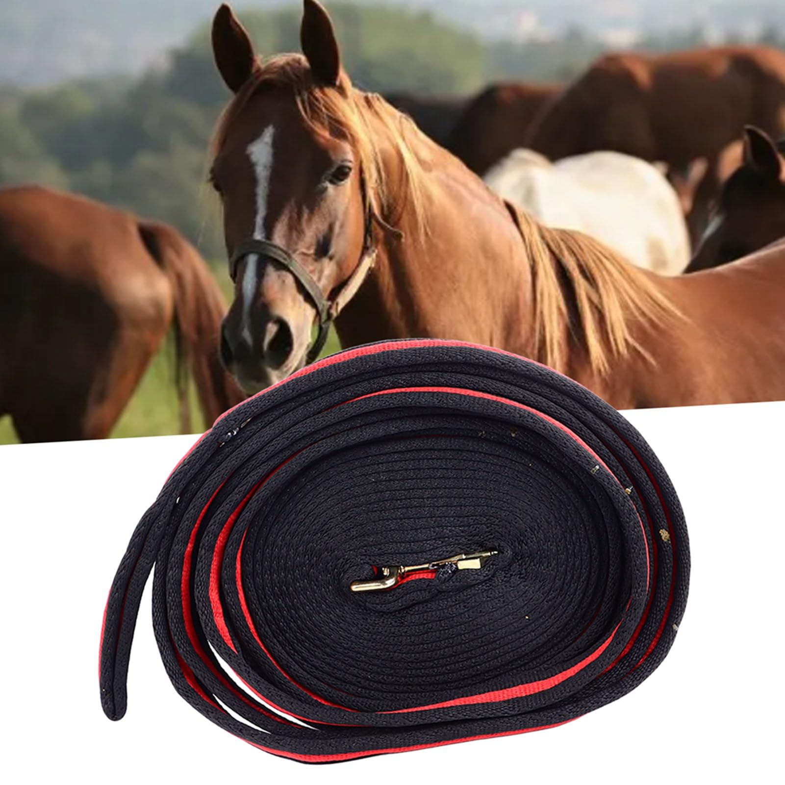 Lunge Line for Horse, Premium Equine Lunge Line with Swivel Bolt Snap for Accurate Equestrian Training, Competition, and Daily Use, 26 Ft (8 Meters)