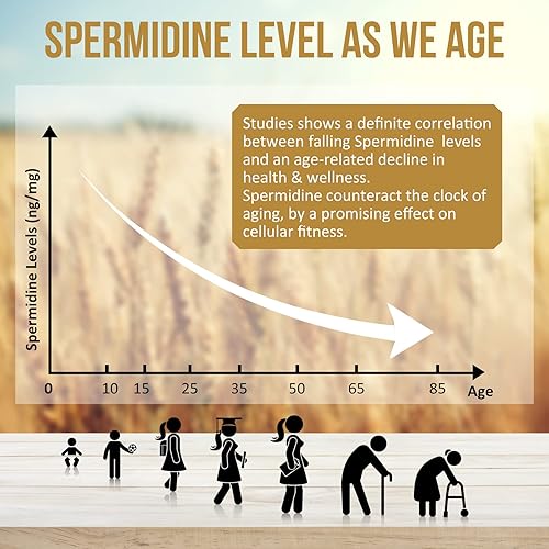 Miniatura 4 de Spermidine Supplements 13mg - 1300mg Cápsulas de extracto de germen de trigo, fórmula potente con mayor contenido de espermidina y zinc para un