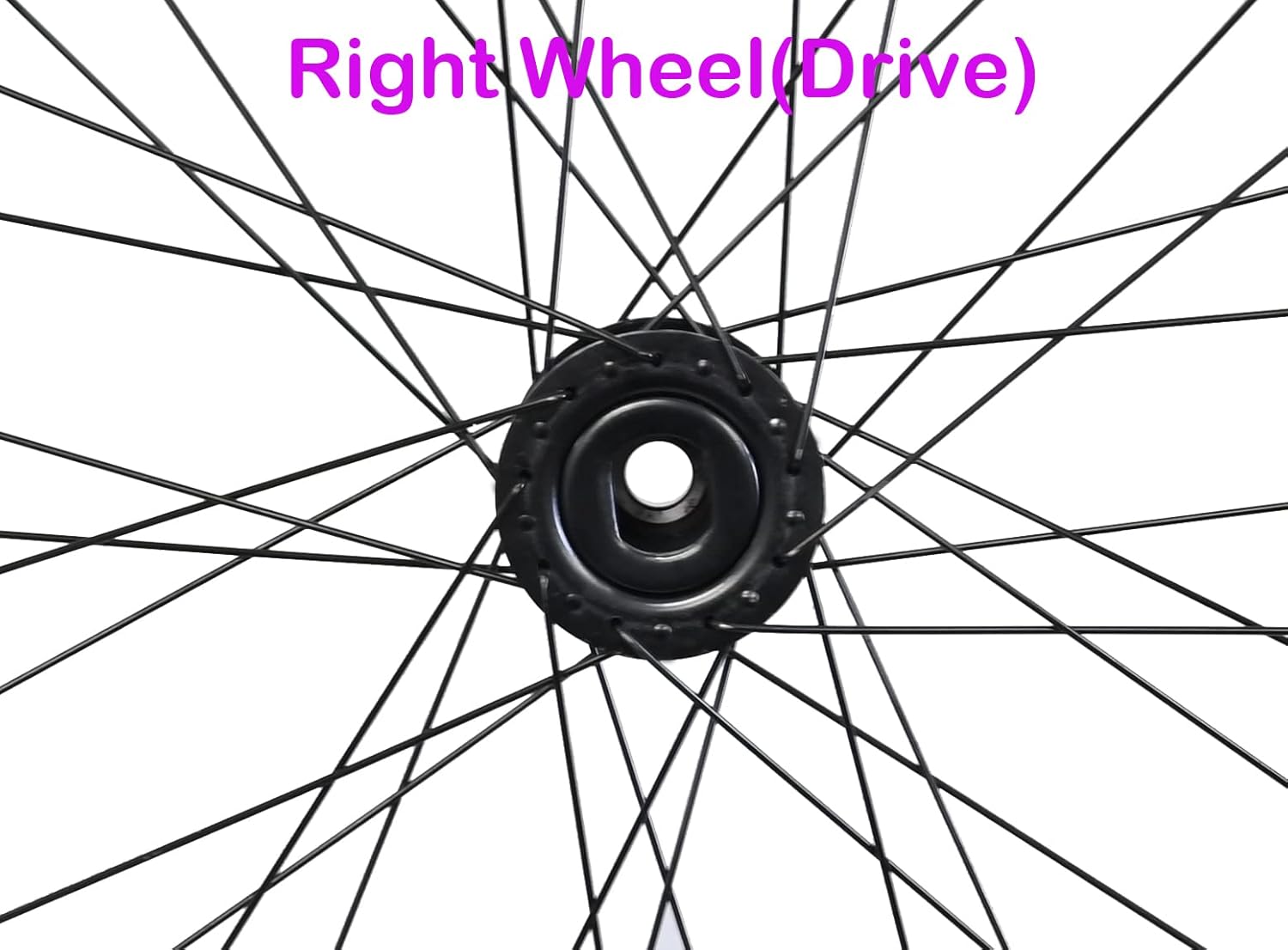 Adults Trike Wheels, Double Wall Alloy Rim, 36x13G Black Spoke with Tire and Tube for 15mm Axle