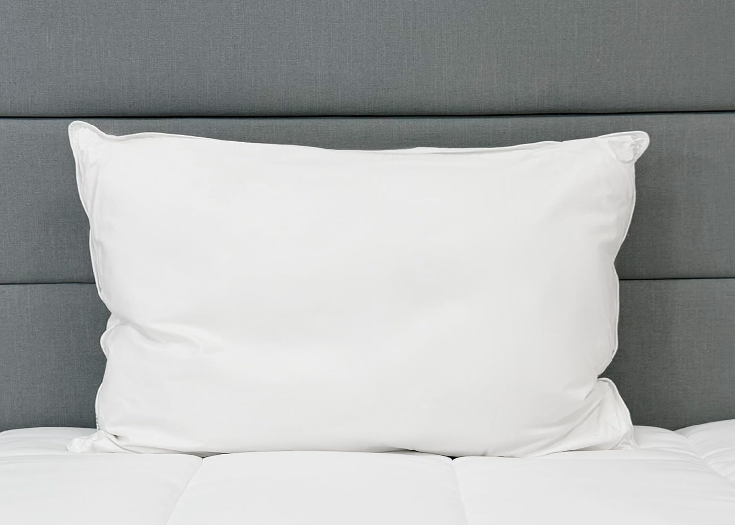Pillowtex High End White Goose Down Soft Pillow Standard