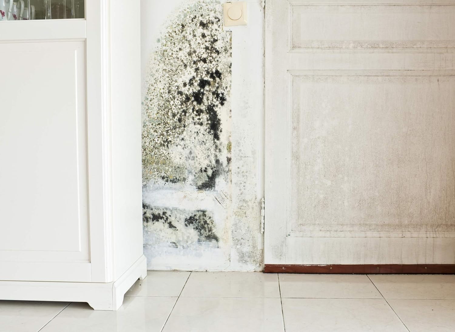 PECTRO Pintura Antihumedad - Previene la aparición de manchas - Pintura blanca interior exterior - Gran cubrición - Pintura plástica y lavable (14 L)