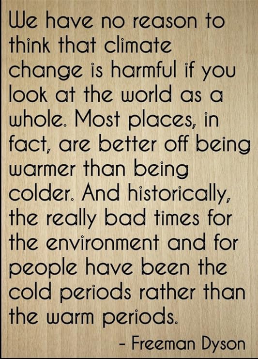 Nous Avons Aucune Raison De Se Penser Que Du Climat Citation Par Freeman Dyson Grave Au Laser Sur Plaque En Bois Dimensions 3 X 25 4 Cm Amazon Ca Maison