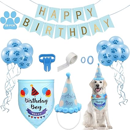 dog first birthday hat