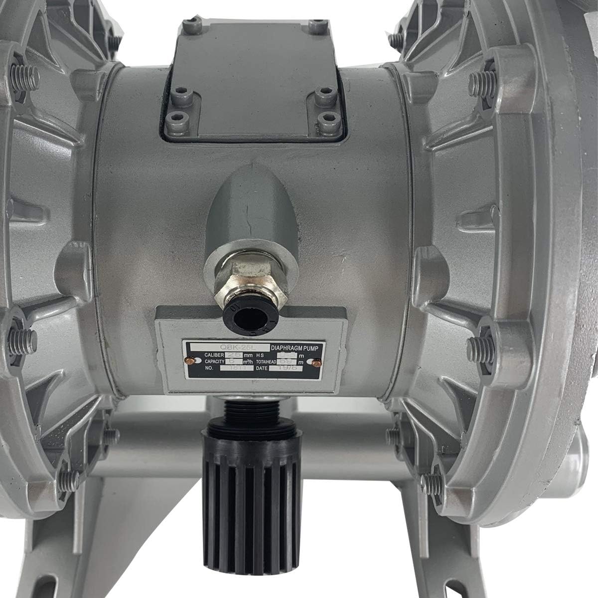 Double Diaphragm Pump - 1 inch Inlet & Outlet, Dual Diaphragm Air Pump, 35 GPM Max, 120PSI