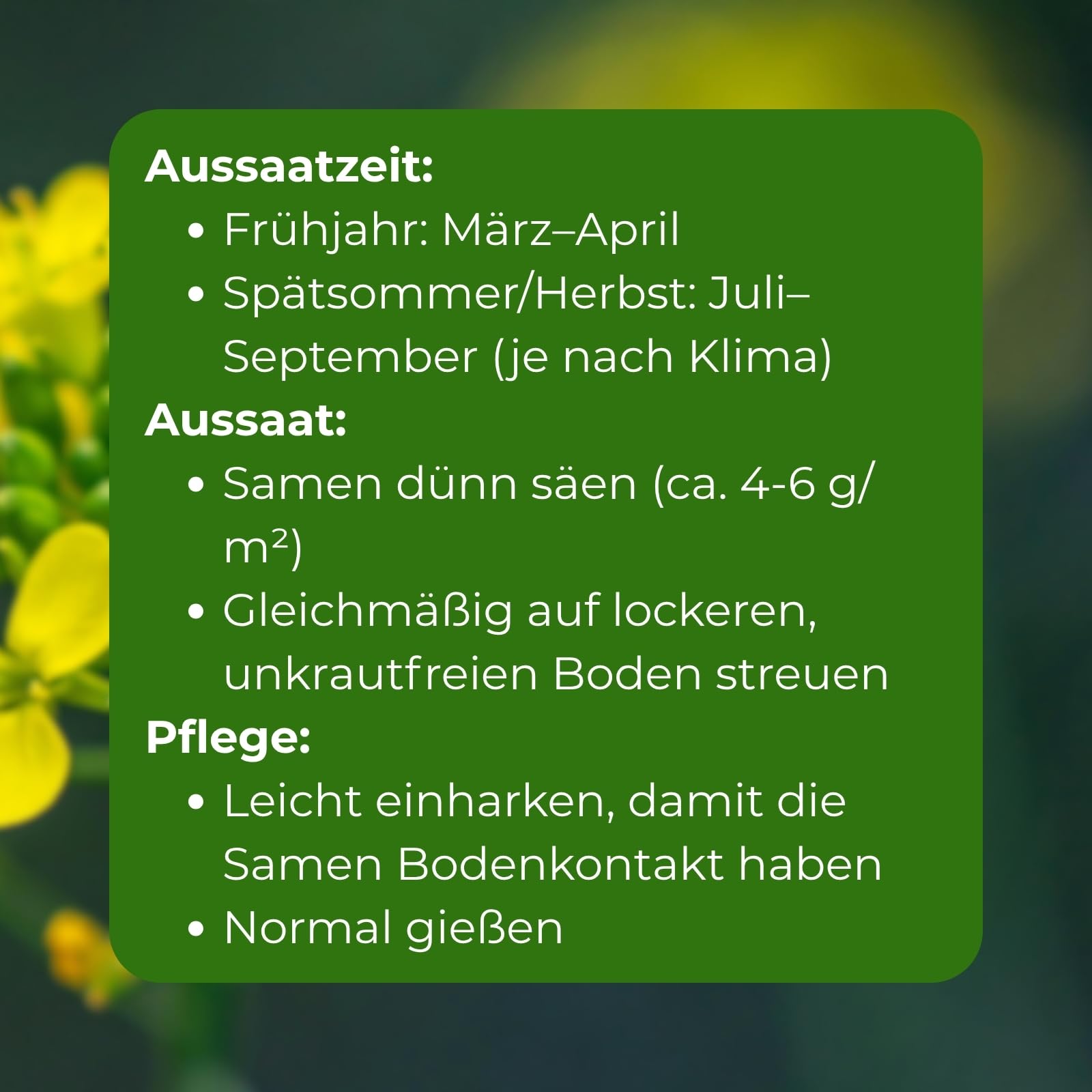 Gelbsenf, Inhalt: 10kg für ca. 2000m², schnellwüchsig, starke Bodendurchwurzelung, Nahrungsquelle für Nützlinge (Bienen & Falter), Bodenkur & Gründünger, Premium Saatgut