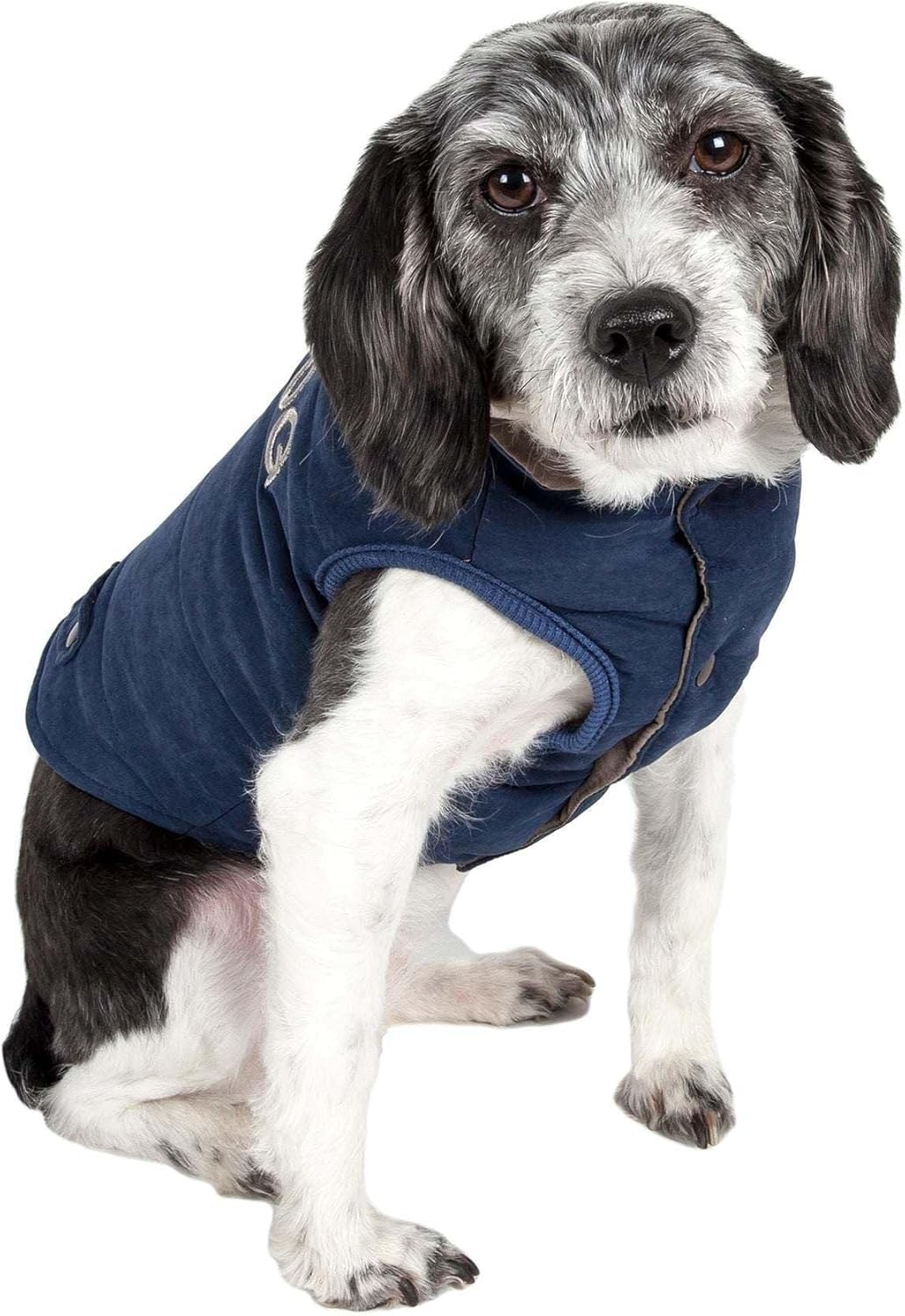 TOUCHDOG 'Waggin Swag' Fashion Designer Reversible 3M Insulated Pet Dog Coat Jacket, Small, Blue / Grey