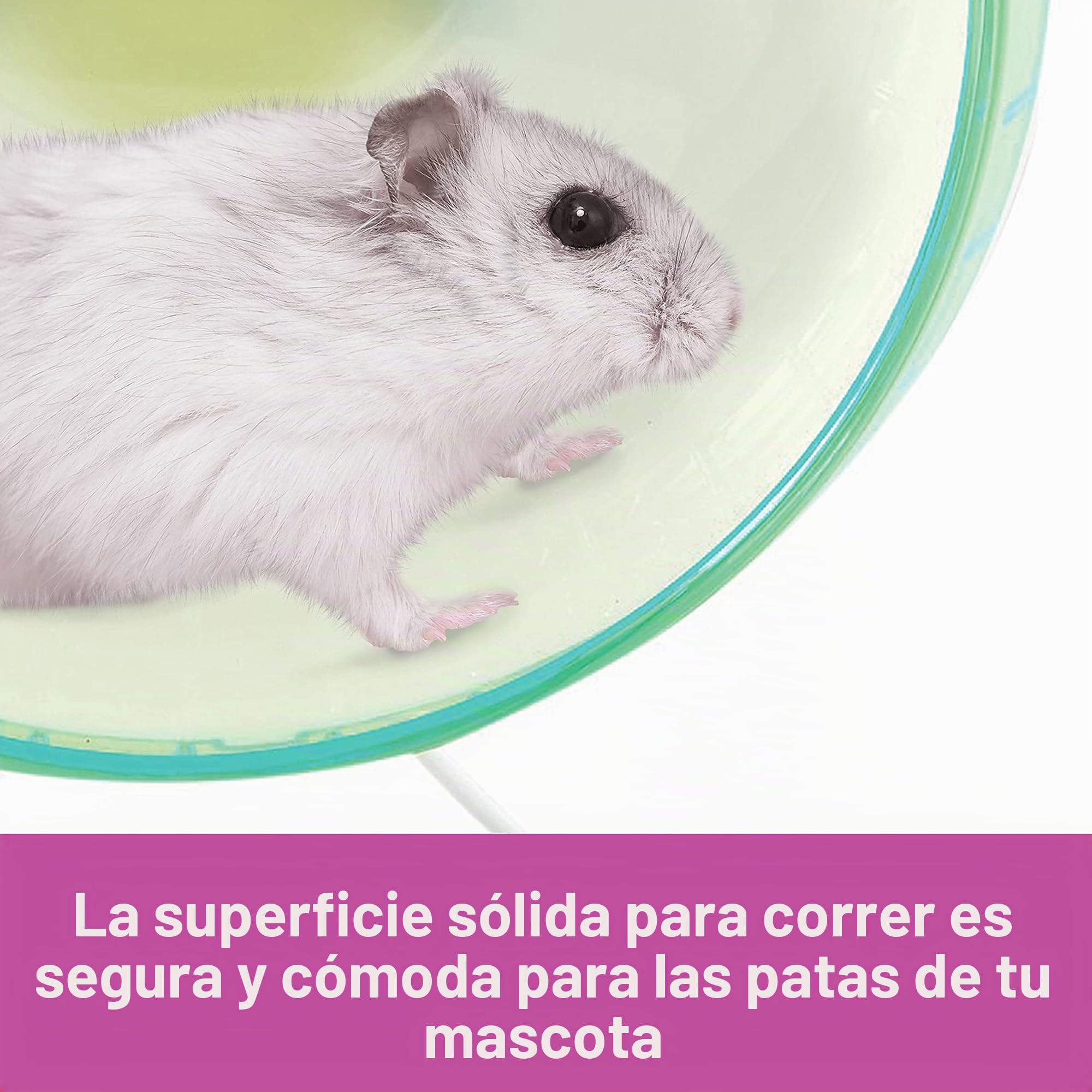 Kaytee Rueda giratoria silenciosa para Mascotas sirias o hámsteres de Raza Grande, Deslizadores de azúcar y jerbos, Grande de 10 Pulgadas