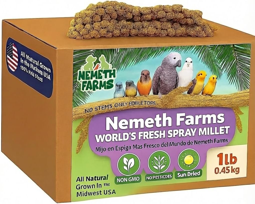 Nemeth Farms Worlds Freshest Sun-Dried Spray Millet - Non-GMO (No Stems Only Edible Tops) - Healthy Bird Treat and Supplement for All Pet Birds Parakeets Cockatiels Finches - 1lb