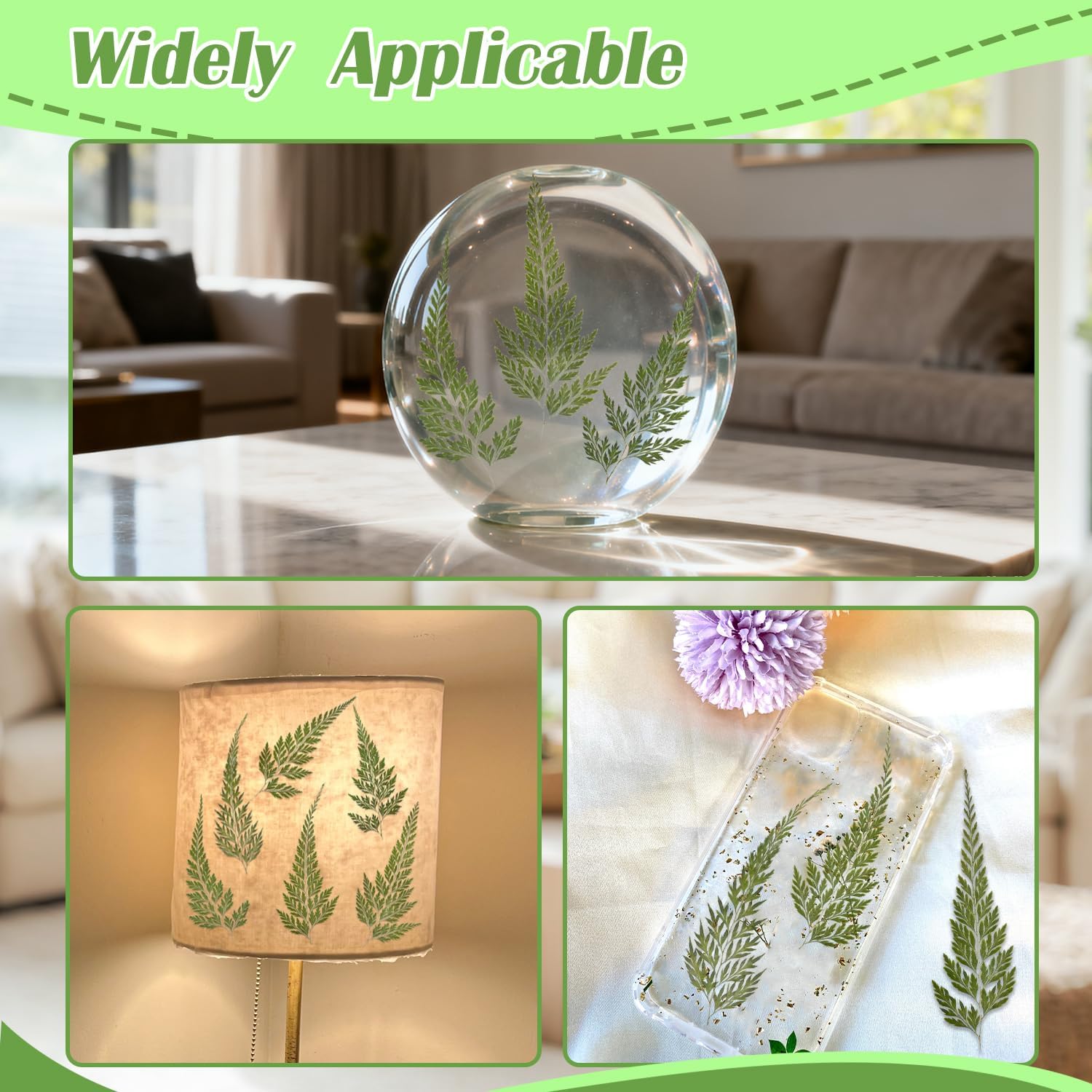 12 x Natural Dried Flowers, Pressed Fern Leaves for DIY, Paper Crafts, Jewellery, Candles, Soaps, Vases and Scrapbooking image 5