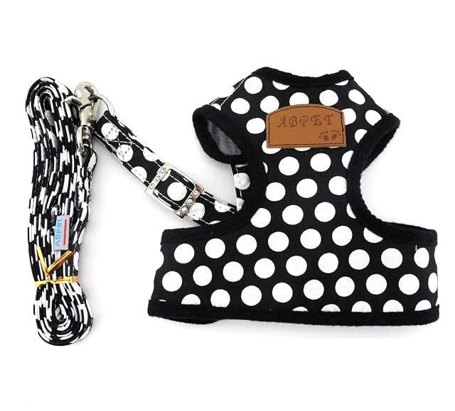Foto 2 de 8 de Chaleco Smalllee Lucky Store para Perro o Gato, Suave, Malla de Nailon, con Correa y arnés, Color Negro