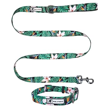 Bagel & Friends Matching Dog Collar & Leash Set XSmall, Small, Medium, Large for boy, Male, Female, Girl Dogs and Puppy (Small, Paradise)