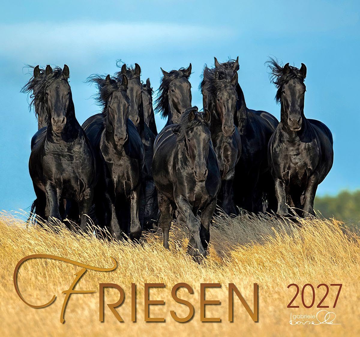 Friesen 2027: Friesen Pferde