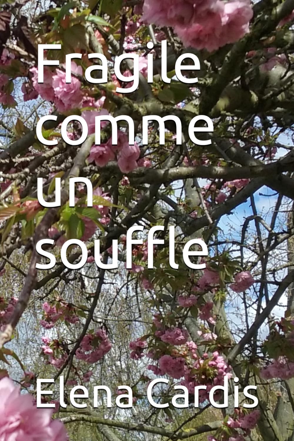 Fragile comme un souffle