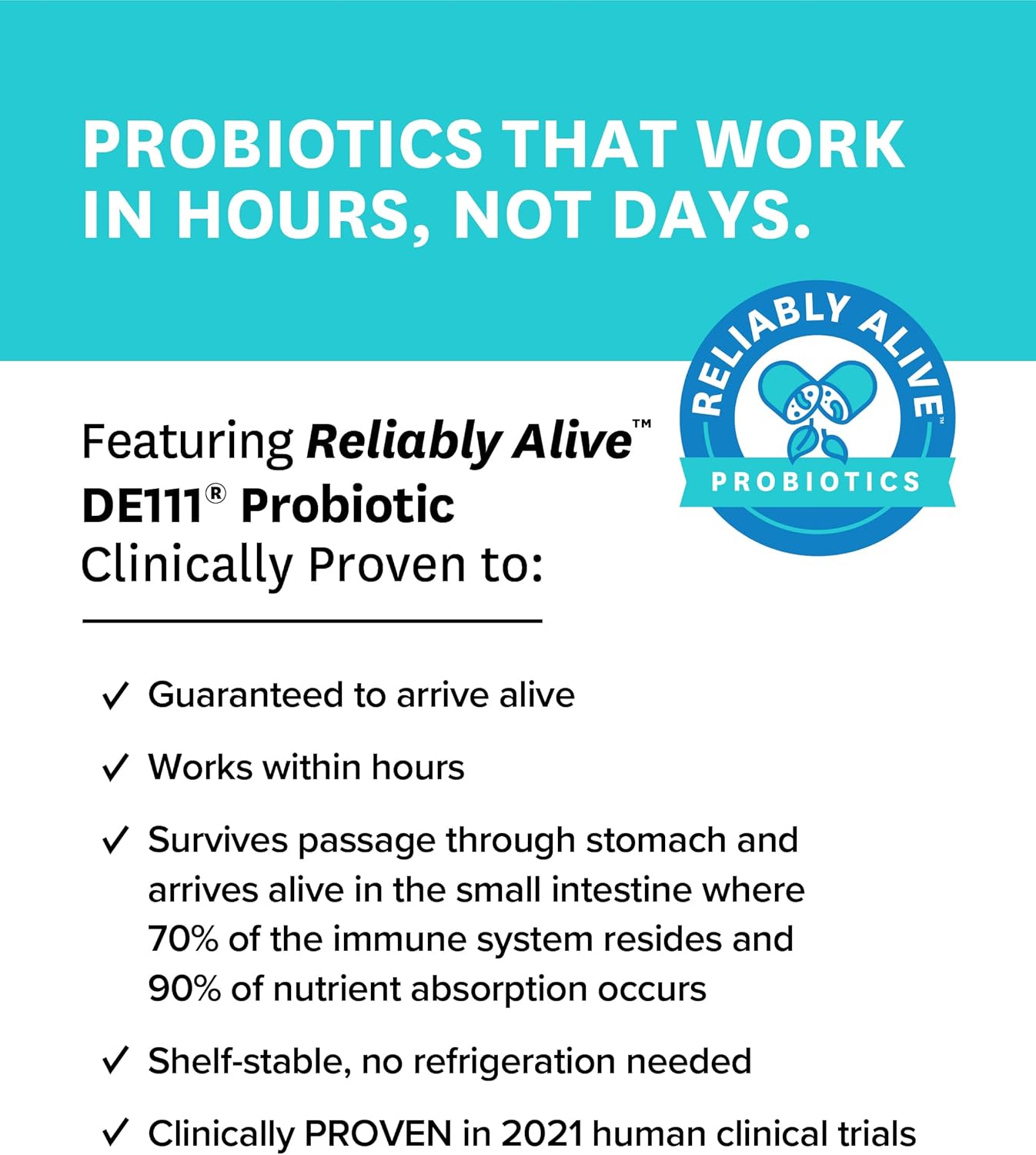 Zenwise Probiotic Digestive Multi Enzymes, Probiotics for Digestive Health, Bloating Relief for Women and Men, Enzymes for Digestion with Prebiotics and Probiotics for Gut Health - 100 Count : Health & Household