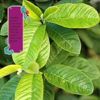Guava leaf tea bags 3.52oz. without added sugar or caffeine