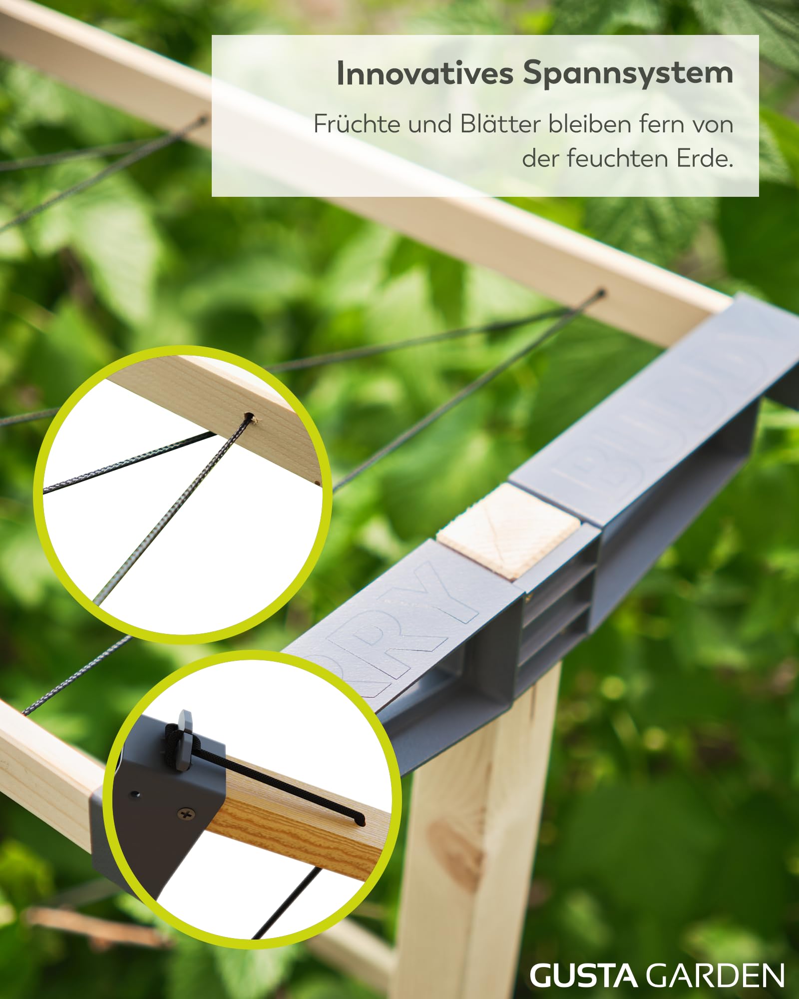 Gusta Garden Berry Buddy - Flexible Rankhilfe für Beeren: Himbeeren, Brombeeren & Heidelbeeren, erweiterbar, produziert in der EU, Rankgitter aus Holz (240cm)