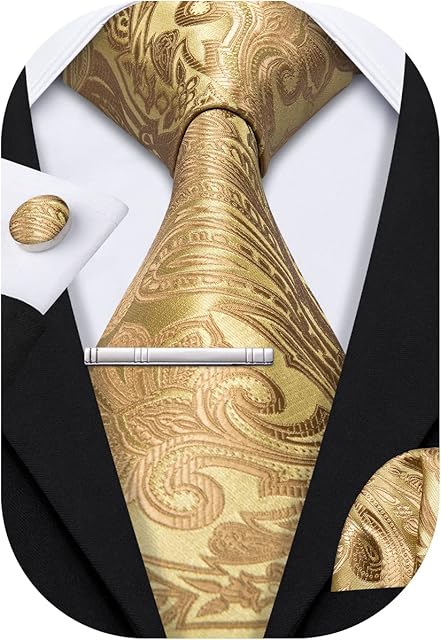 Barry.Wang Mens Solid Paisley Silk Tie Jacquard Necktie 4PCS Set Formal Wedding
