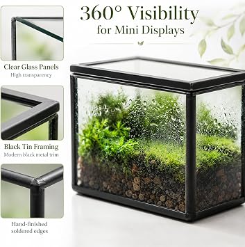 Mini Glass Terrarium Set of 2 with Lid, Tiny Rectangle Glass Succulent Terrarium Containers for Air Plants, Moss & Fairy Garden, Black Framed Tabletop Plant Holder, 4 x 2.8 x 2.4 & 2.8 x 2.4 x 4 in