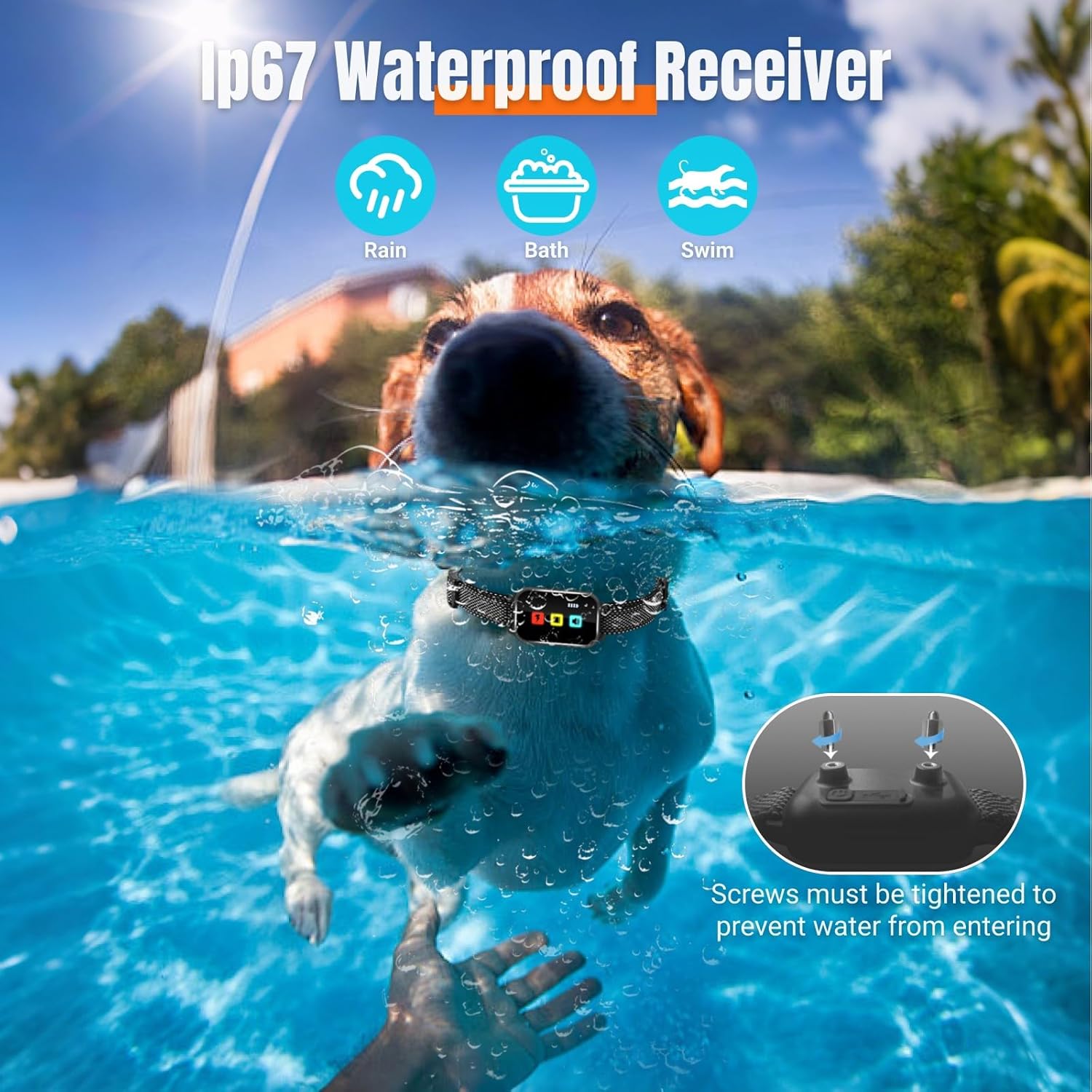 Dog swimming with waterproof collar