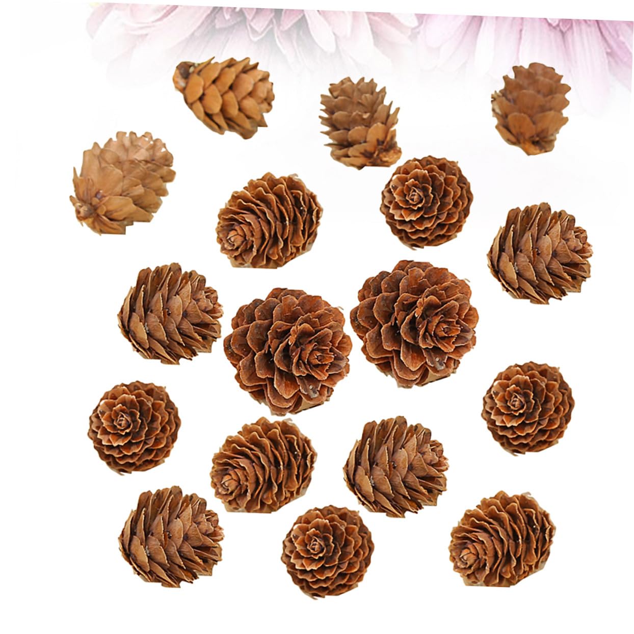210 Piezas Mini Piñas Naturales para Decoración Navideña y Hogar Rústico Adornos Secos para Manualidades y Otoñal