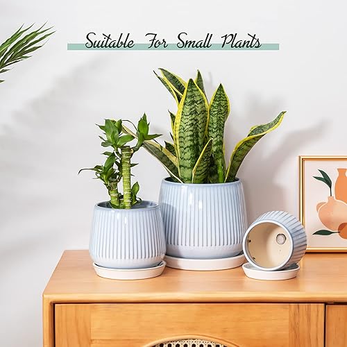 Miniatura 18 de TAMAYKIM 4.25 + 5.5 + 7 Inch Ceramic Plant Pots with Drainage Holes and Saucers, Small to Large Planter Sets for Plants, Succulent, Cactus and Green