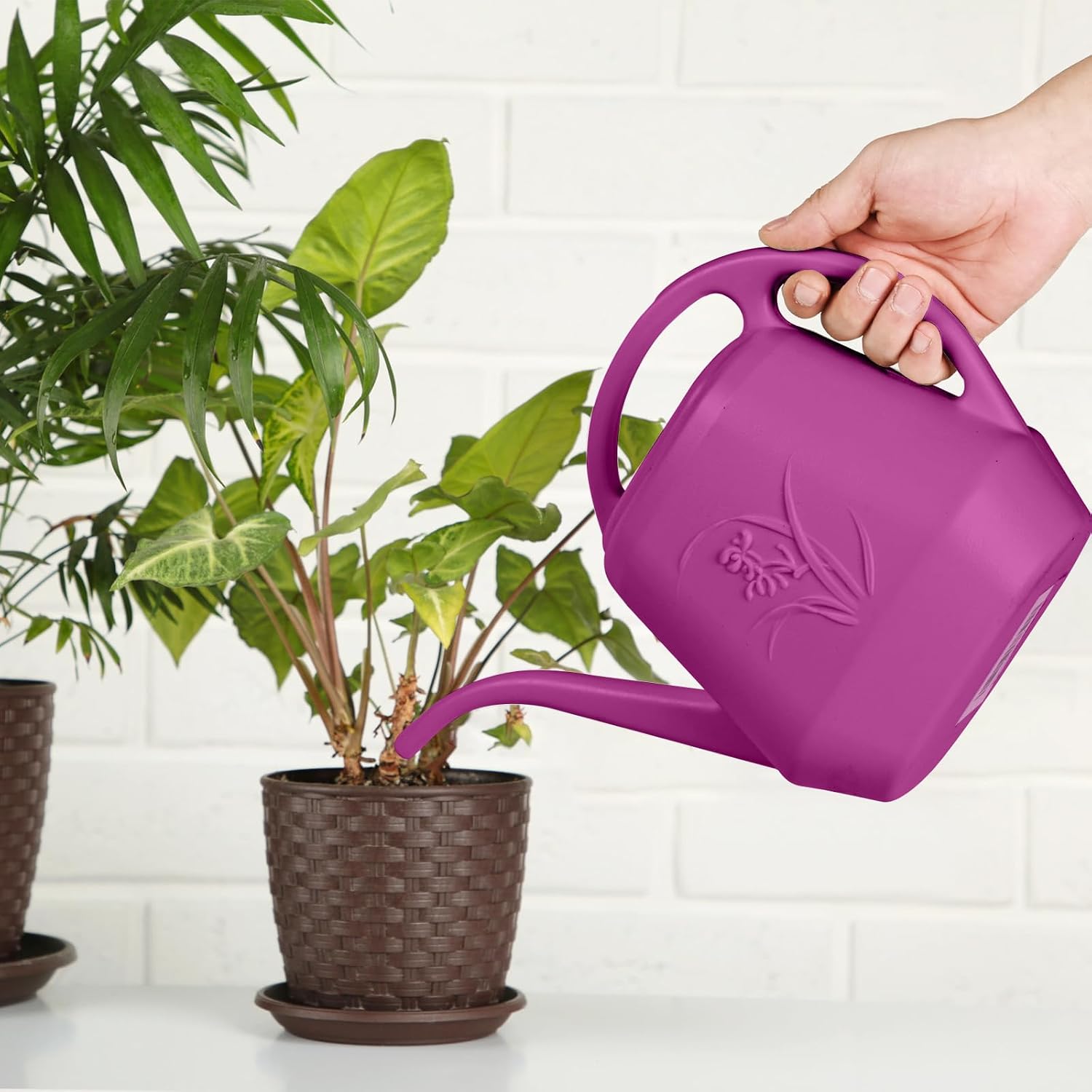 Watering Can - for Home Plant Garden - 1/2 Gallon - Rose Red